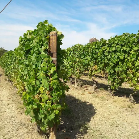 Sofia * Montegrosso dʼAsti