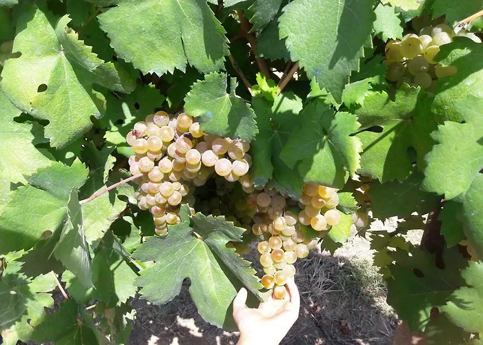 Sofia Casa de Férias *