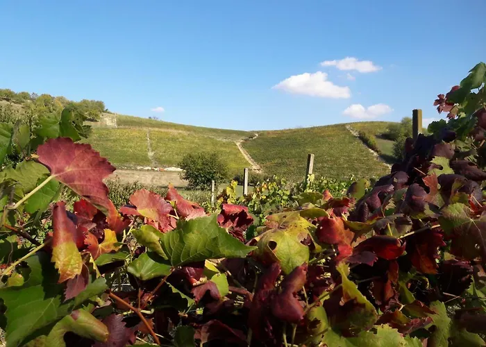 Sofia * Montegrosso dʼAsti